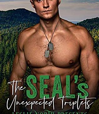 The SEALs unexpected triplets by Katie Knight