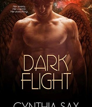 Cover for Dark Flight by Cynthia Sax